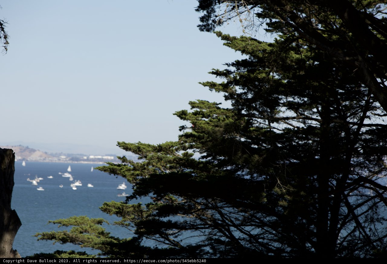 Nature's Majesty at Fleet Week Air Show, 2023