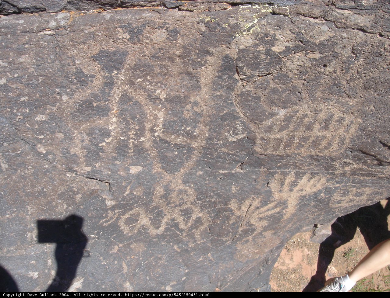 Animal Kingdom on a Rock