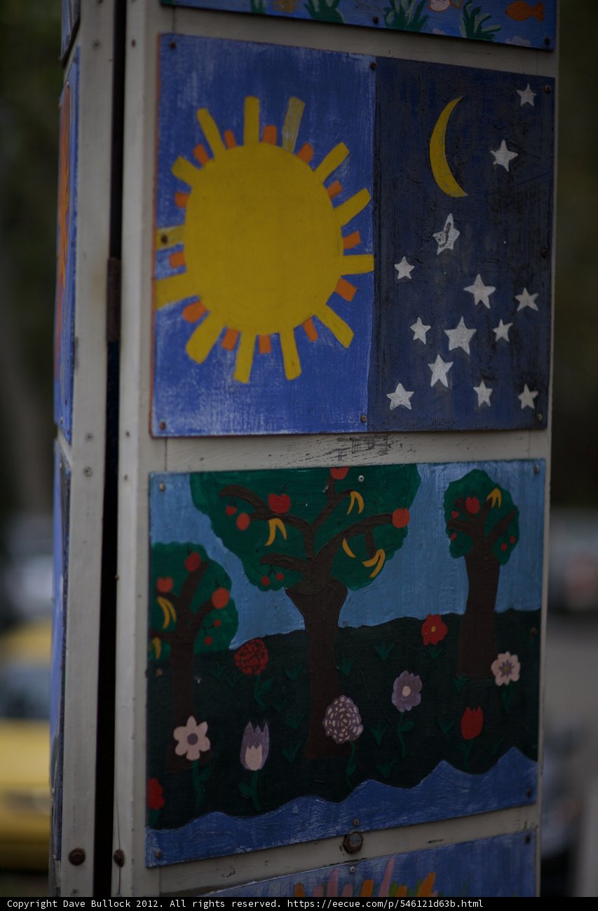 Tree and Sun Symbol