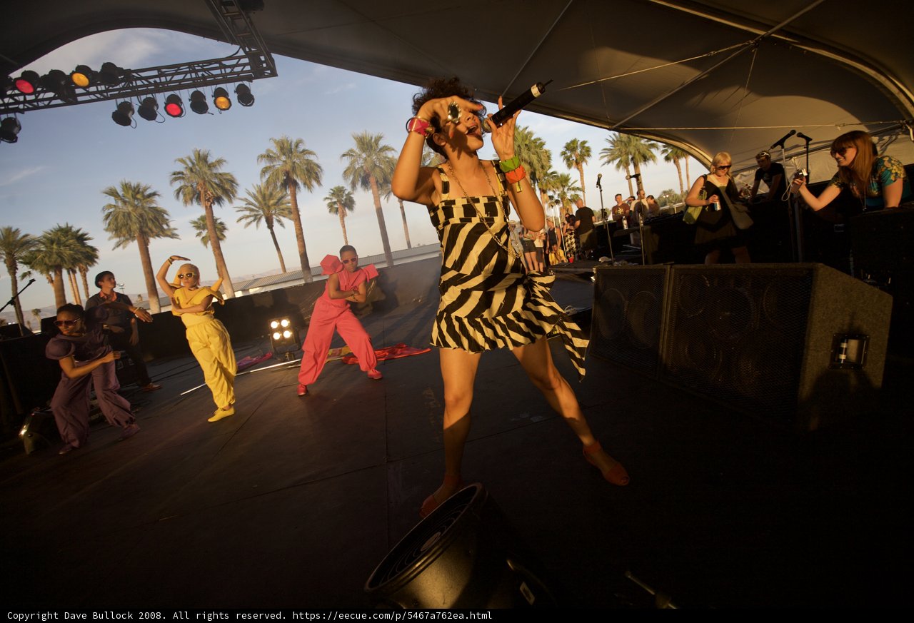 Rocking the Zebra Print Dress
