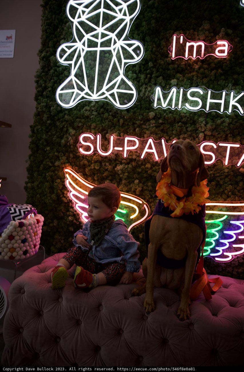 Neon Celebration of Hi-Li 5th Birthday