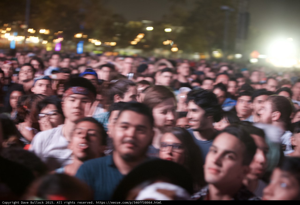 Festival Crowd Watching