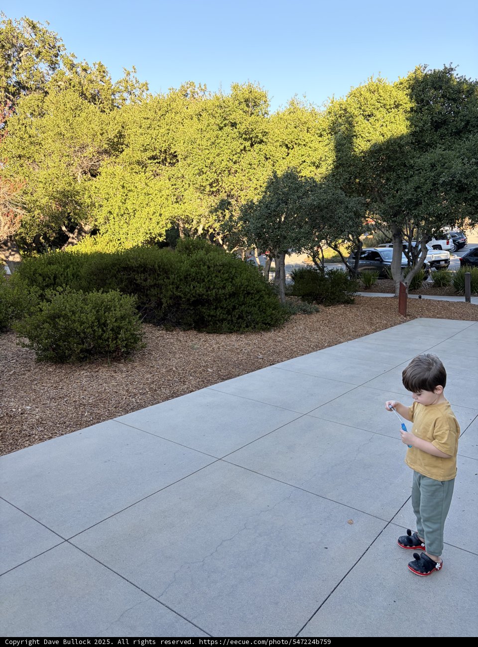Autumn Afternoon in Carmel