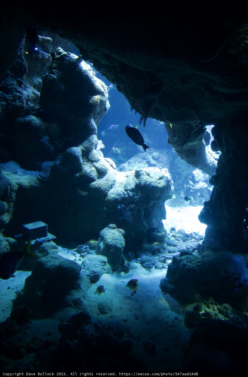 Luminous Journey: An Underwater Mystery