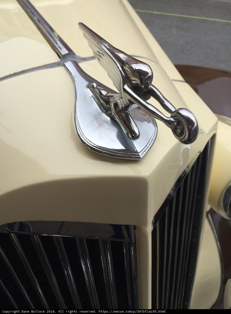 Classic Packard Emblem