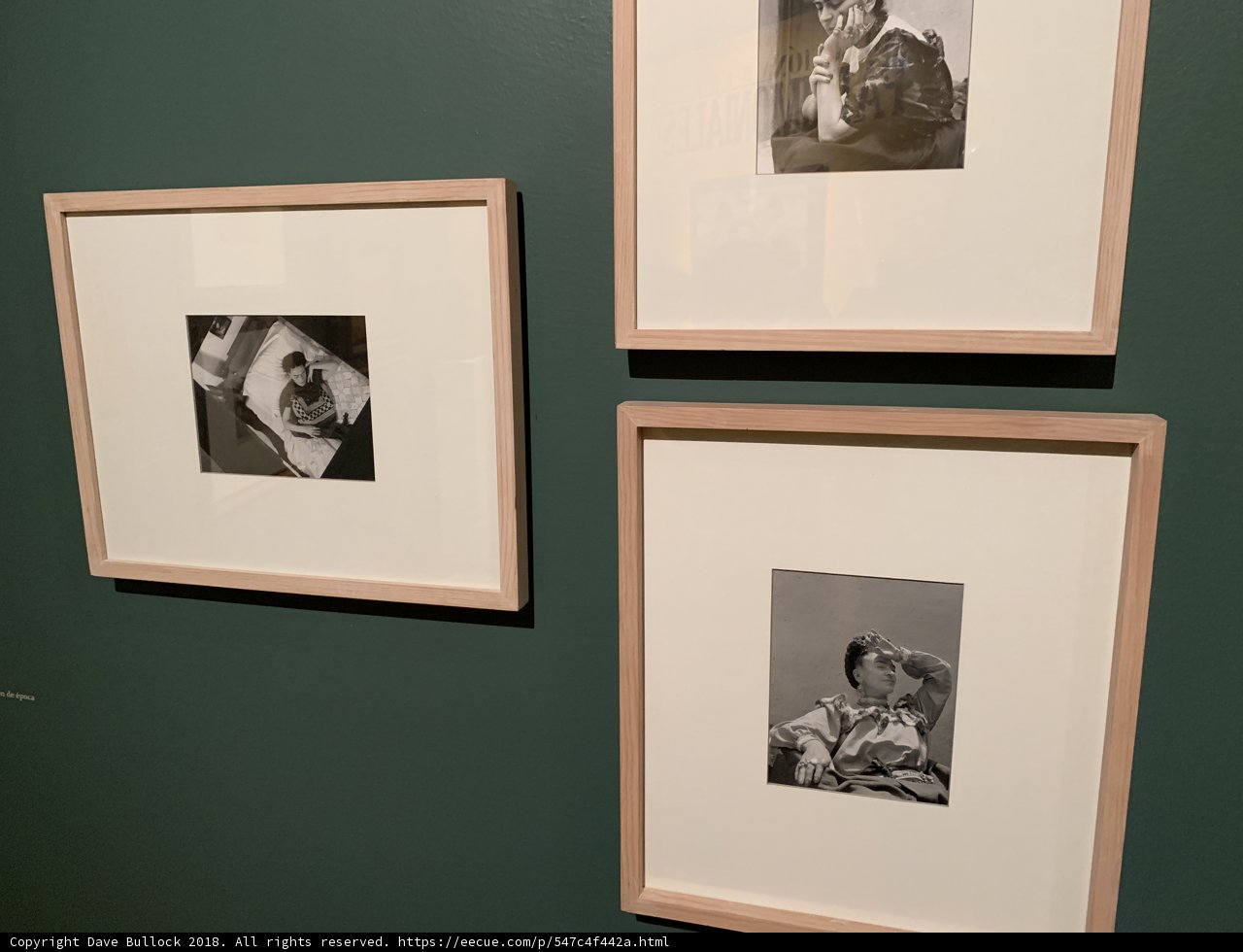 Frida's Artful Wall
