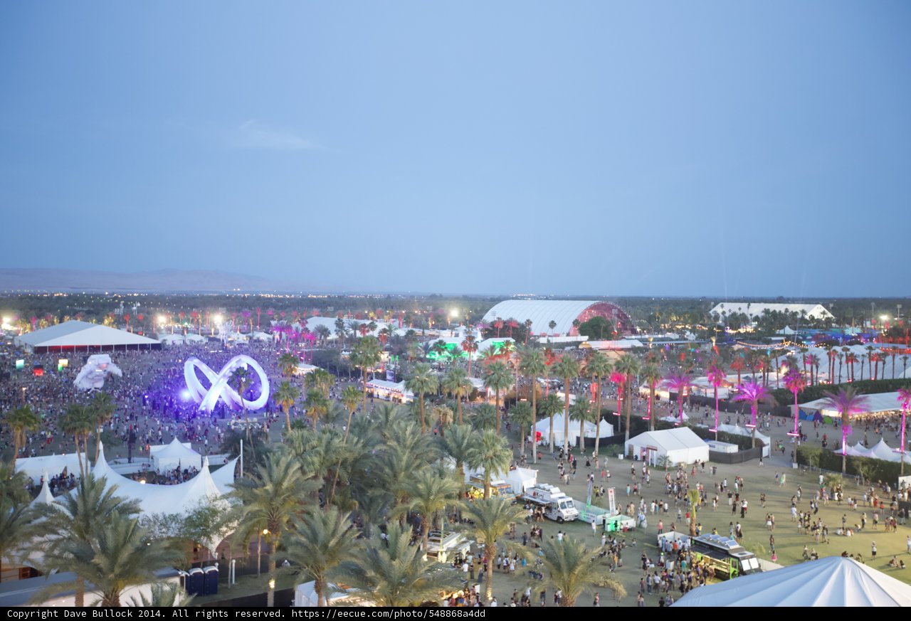 Desert Festivities
