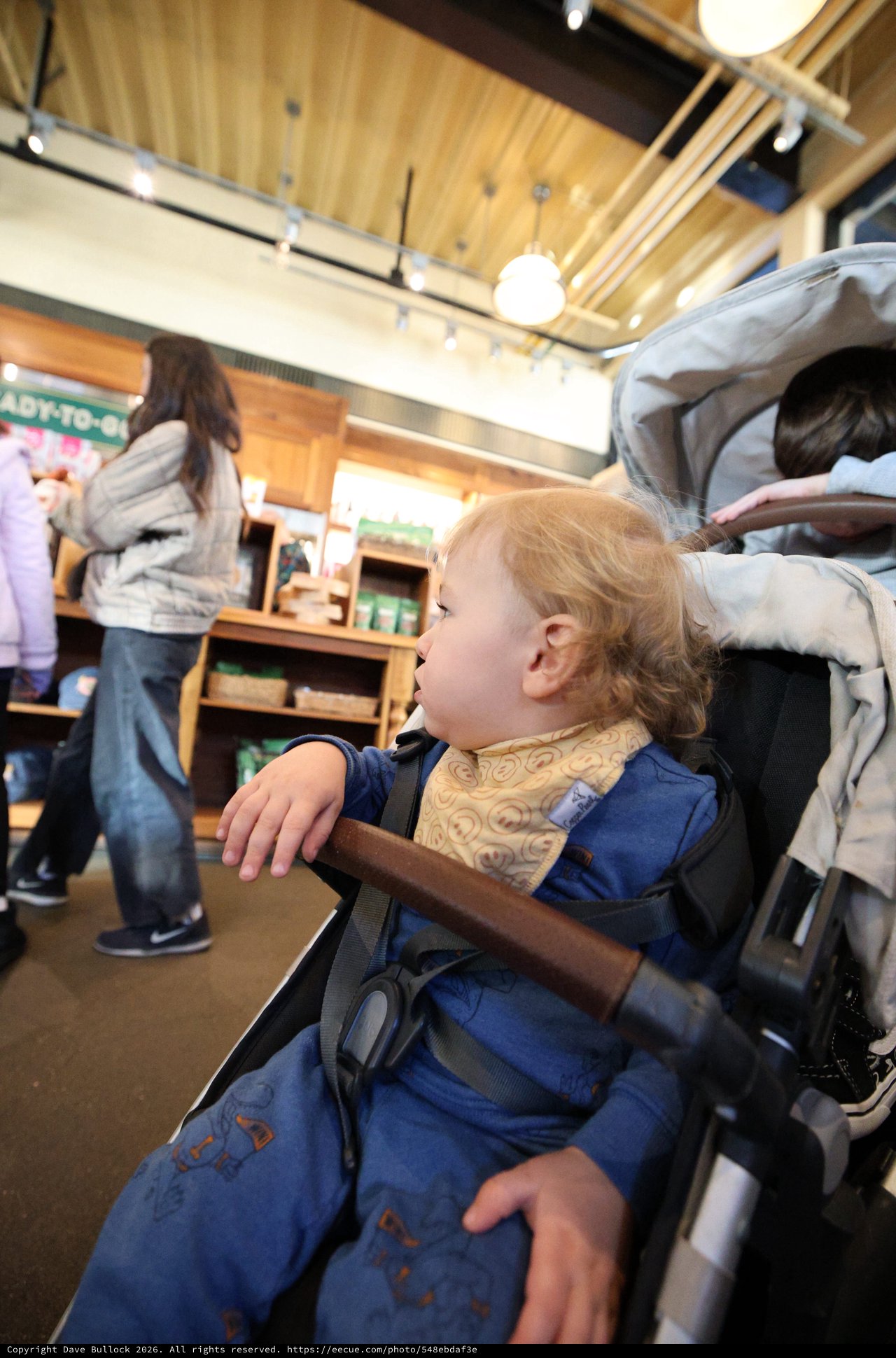 Toddler Observing World from Stroller in Modern Retail Store