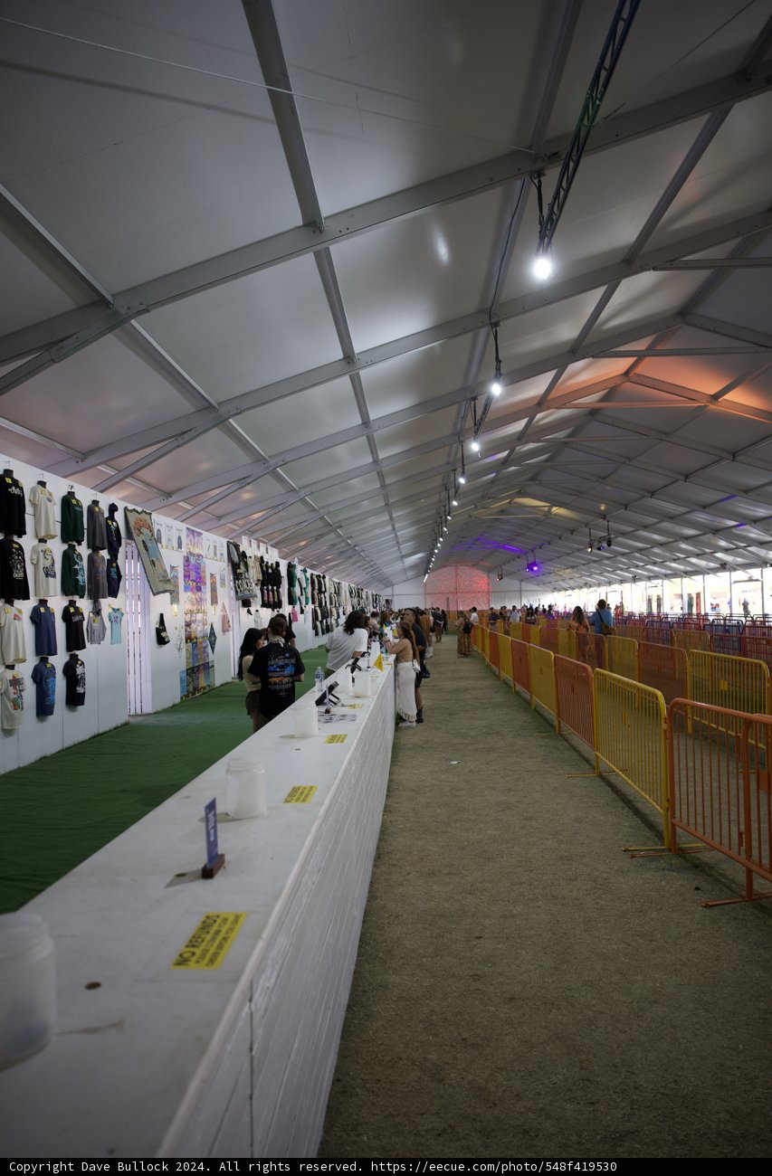 Marketplace Buzz at Coachella 2024