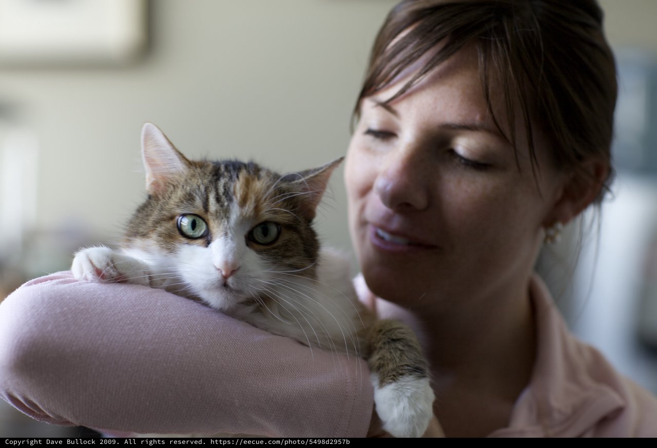 Woman Tenderly Holds Tabby Cat Indoors