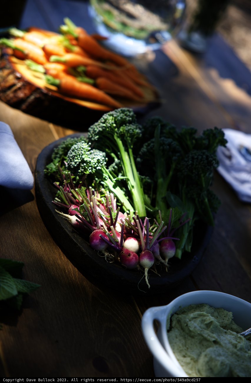 Vibrant Veggie Spread at Regenerative Gardening Class