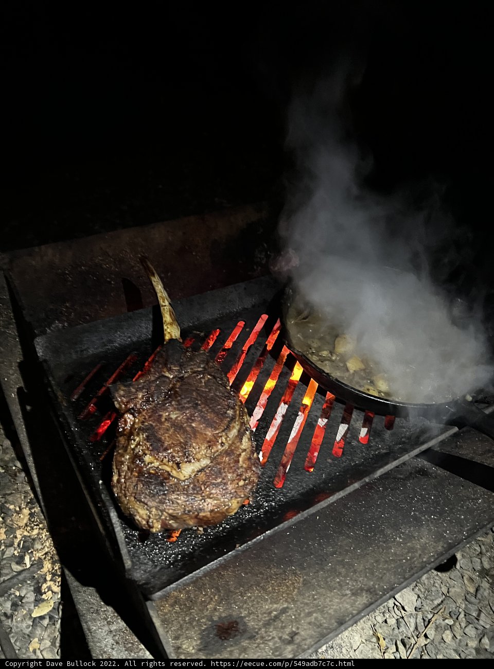 Nighttime BBQ Delight
