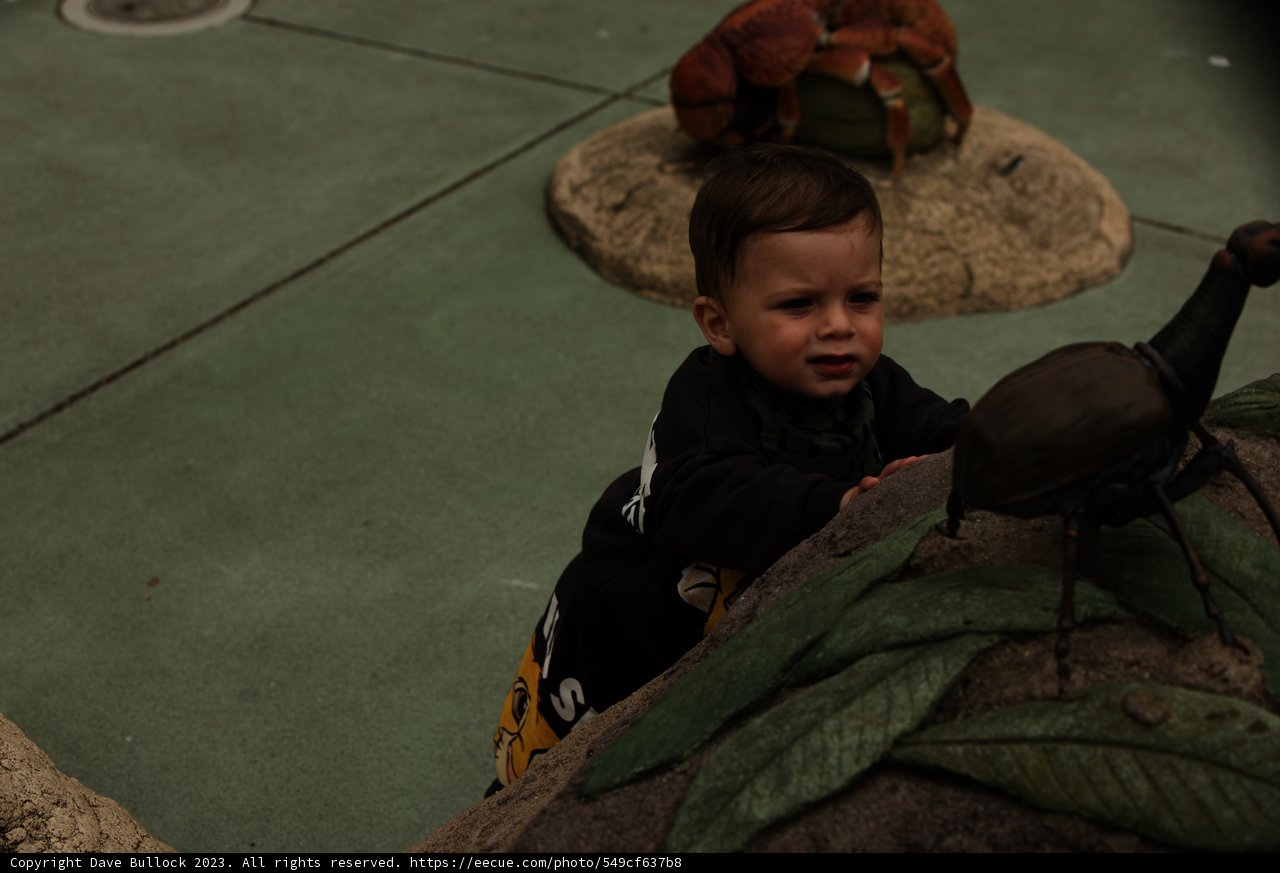 The Young Explorer and the Bird Statue.