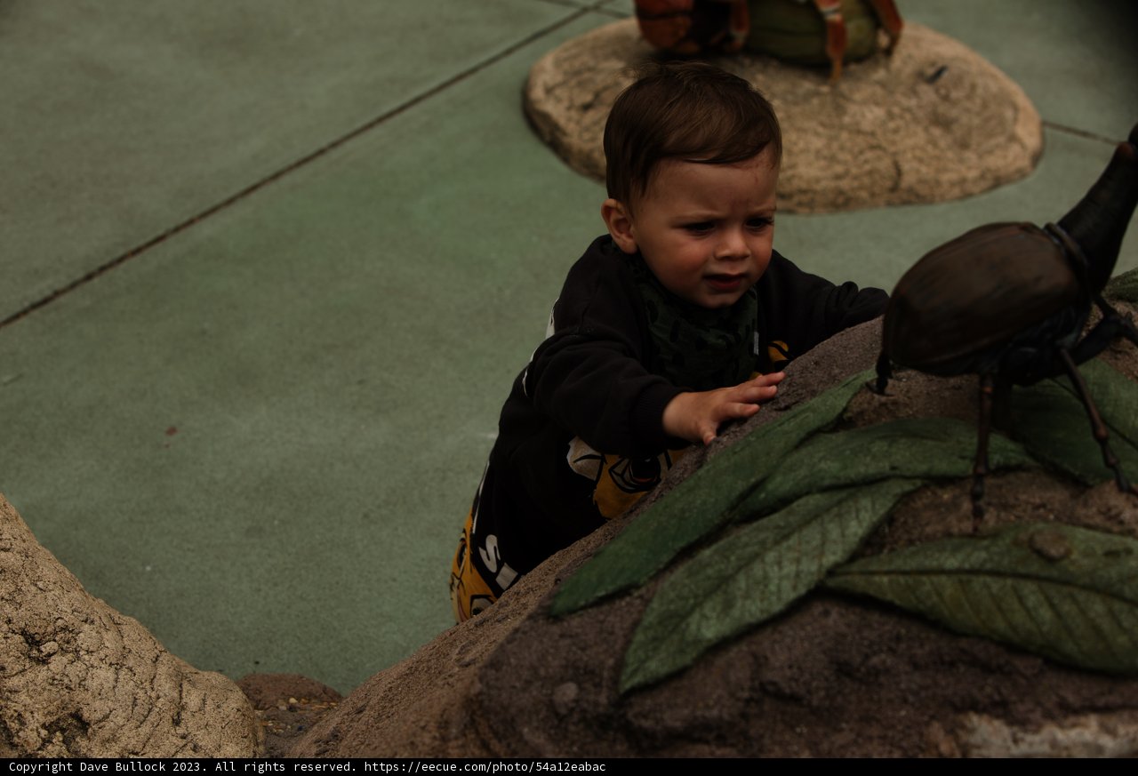 The Boys and the Bug: A Garden Adventure at SF Zoo