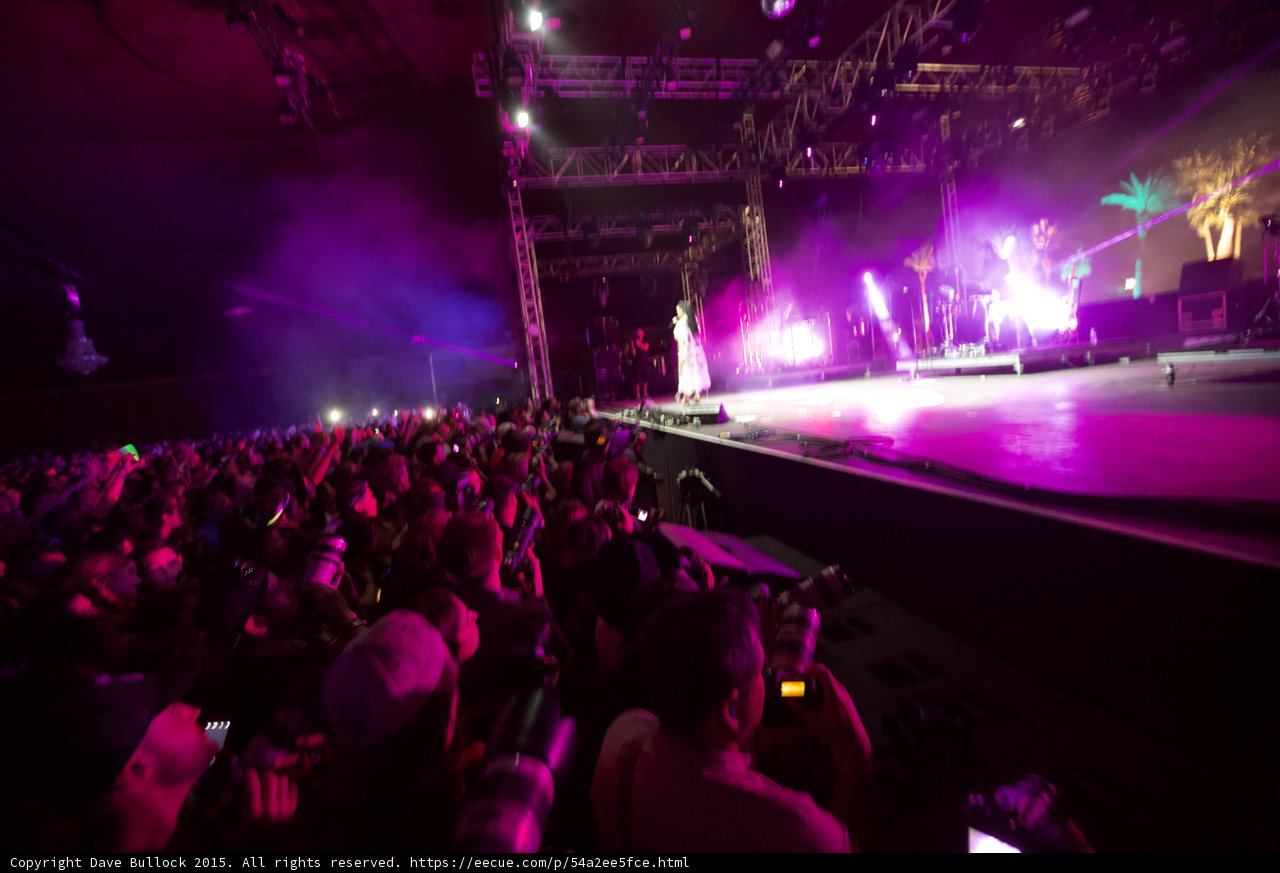 Purple Haze at the Concert