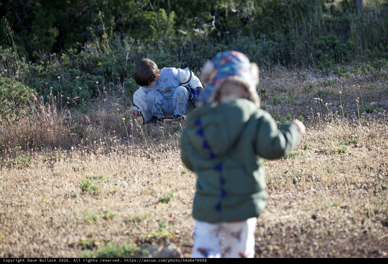Young Explorers Discovering Nature at Mount Diablo