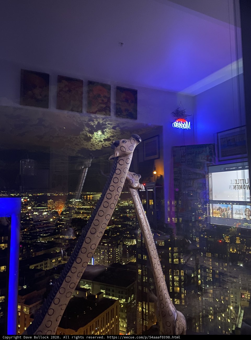 Giraffe Gazing Out from Office Building Window