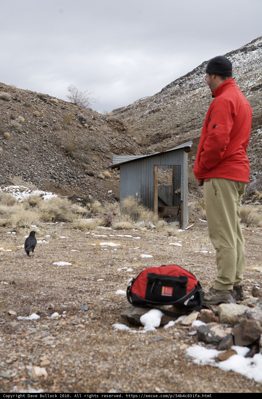 Man in the Desert Observing a Bird