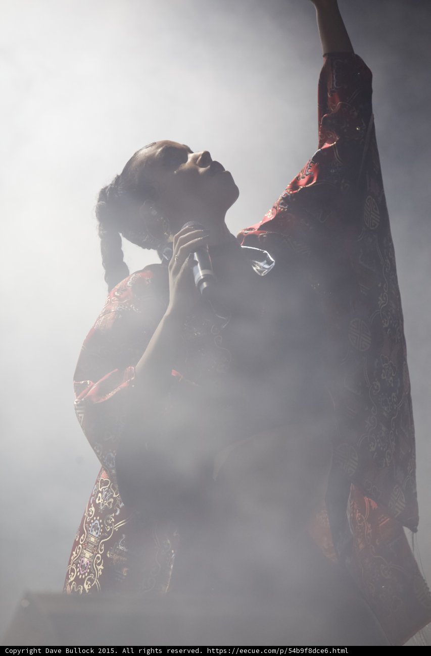 FKA twigs Stunning Portrait Looking Up Baby Hairs Braided Ponytails Arm Raised Red Brocade Kimono Heavy Backlit Haze Ethereal