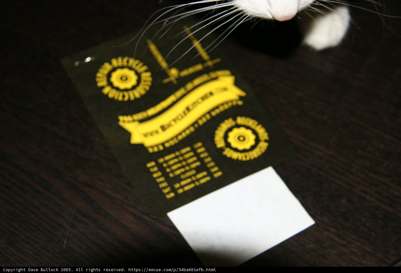 The Curious Cat and the Mysterious Sticker