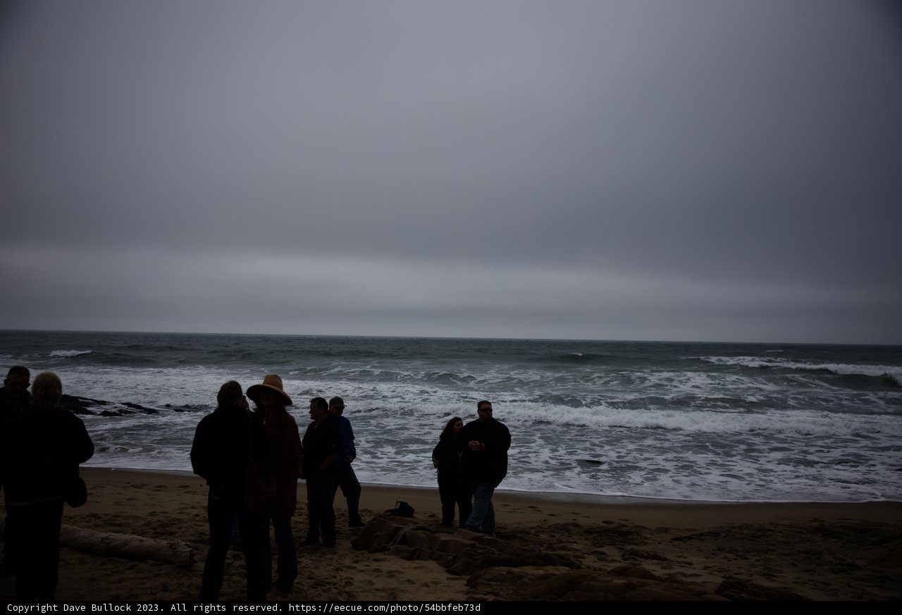 Secret Beach Pescadero Adventure