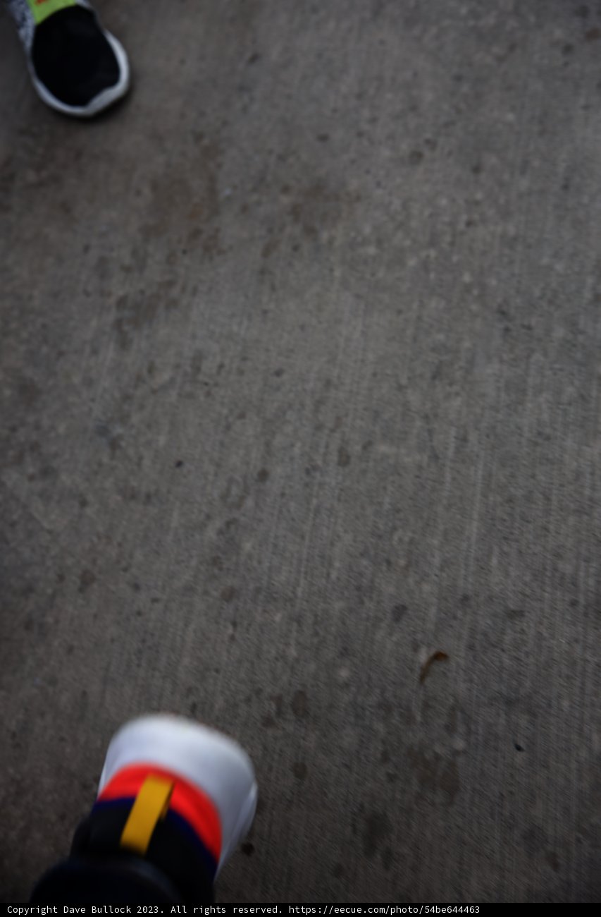 Skateboarding Adventures at Disneyland