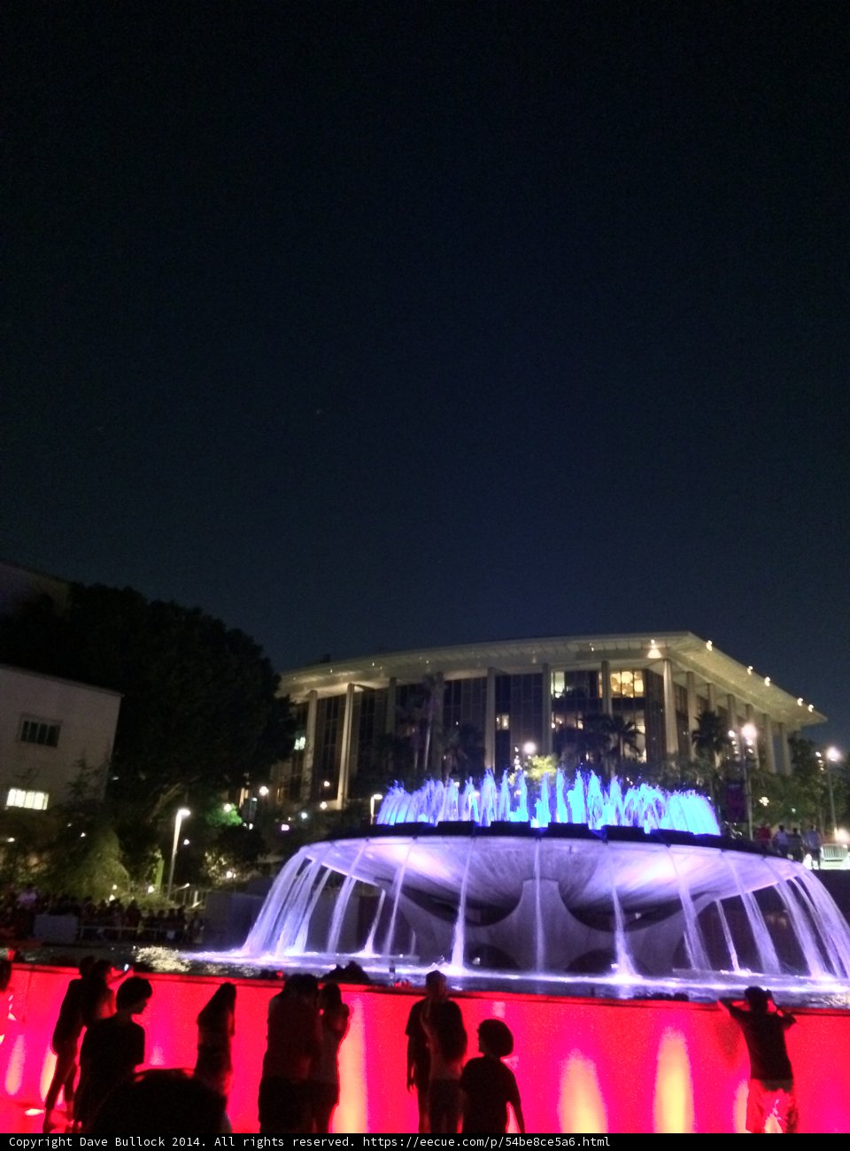 Midnight Oasis in the City