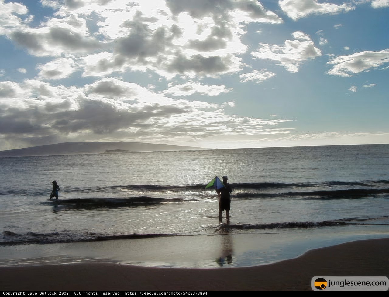 Surfing in Paradise