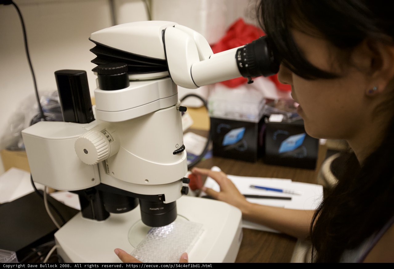 Exploring the Micro World