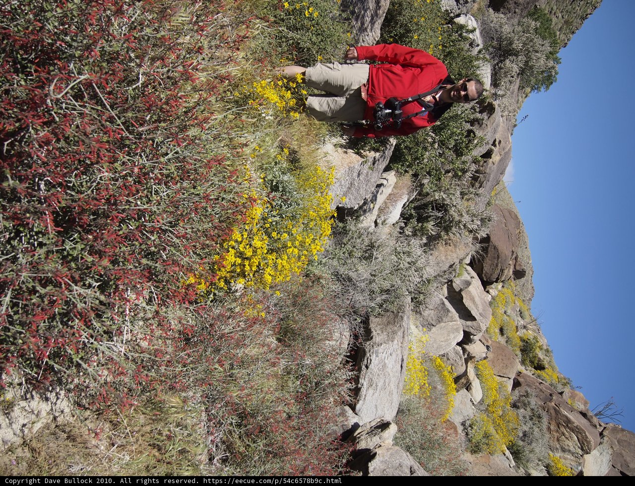 Solo Hike on the Trail