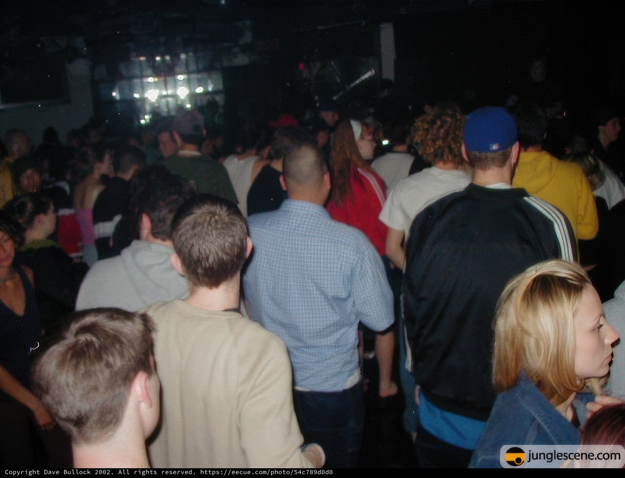 Nightclub Vibes