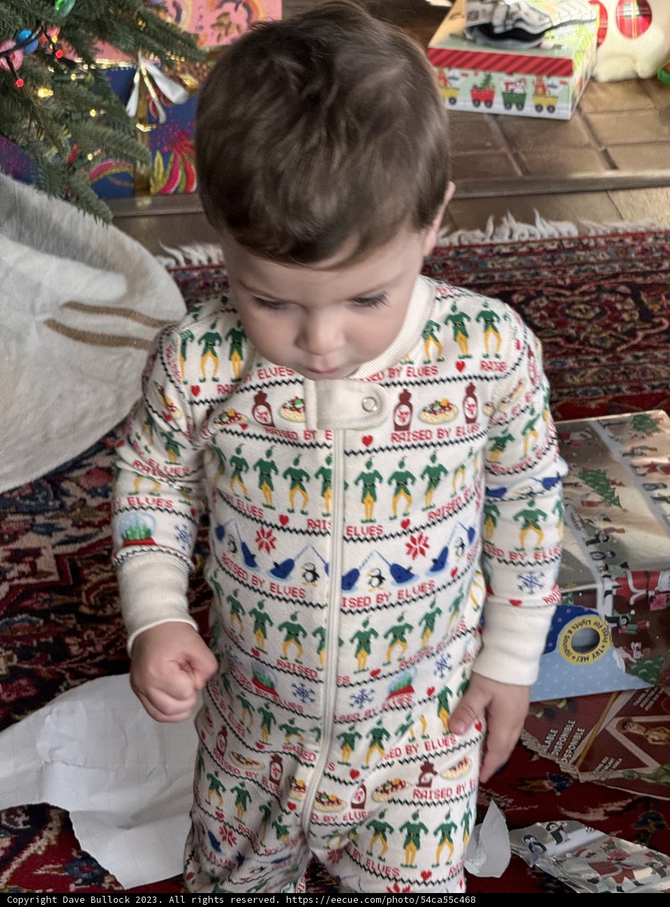 A Cozy Christmas Morning with Wesley