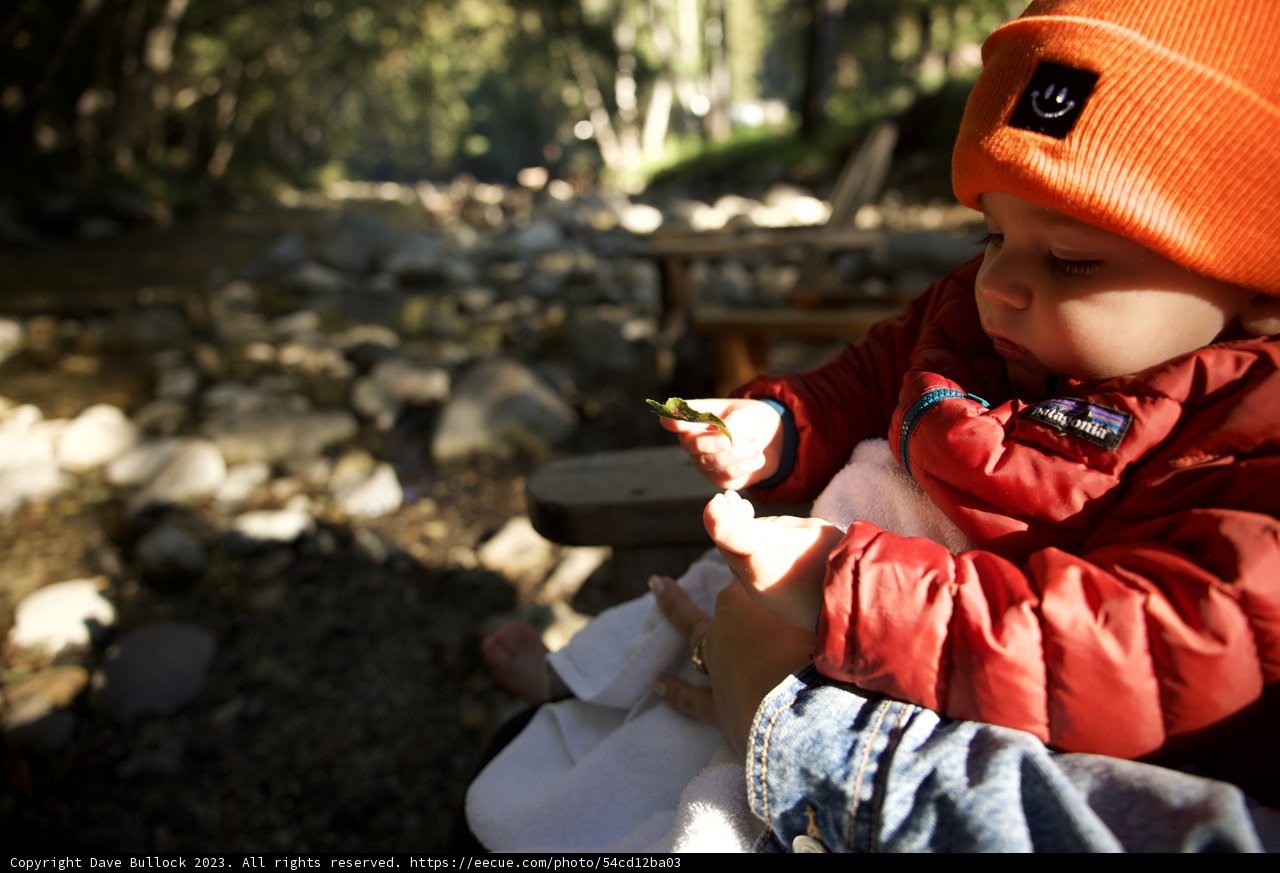Autumn Adventures with Wesley