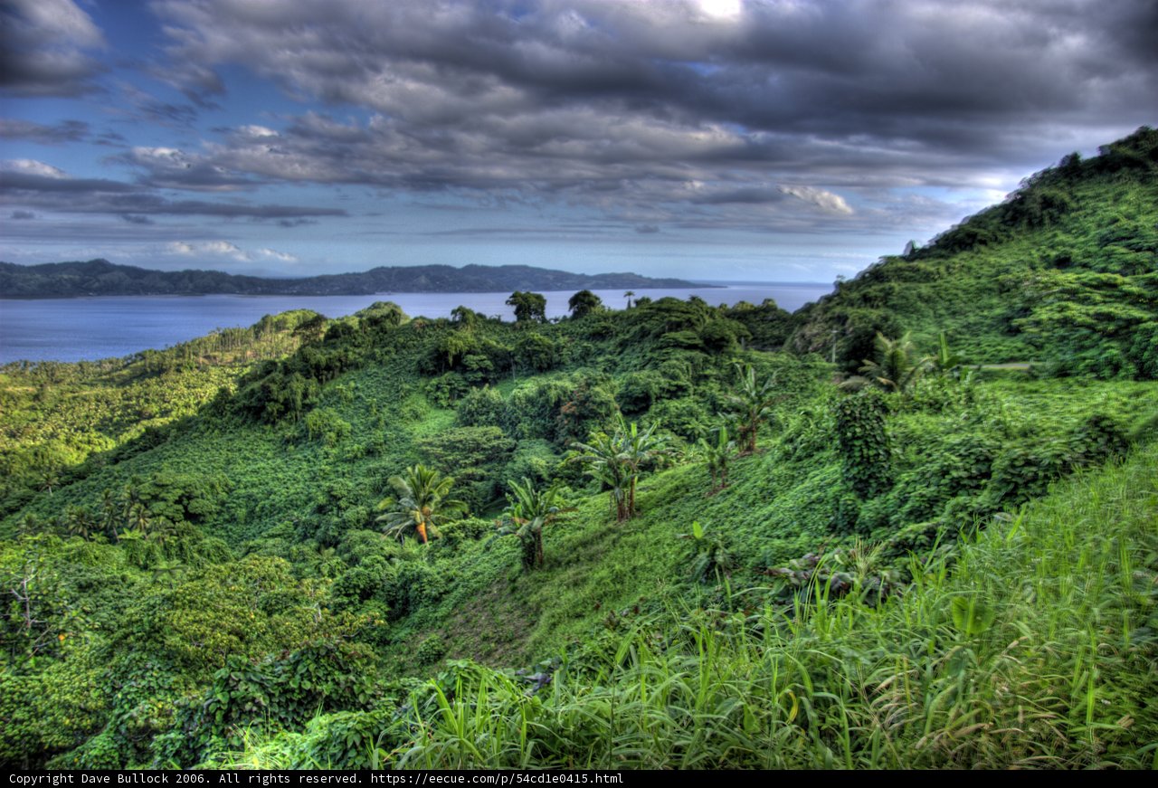 Serene Hillside