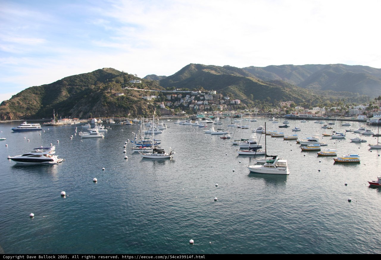 Serenity at the Harbor