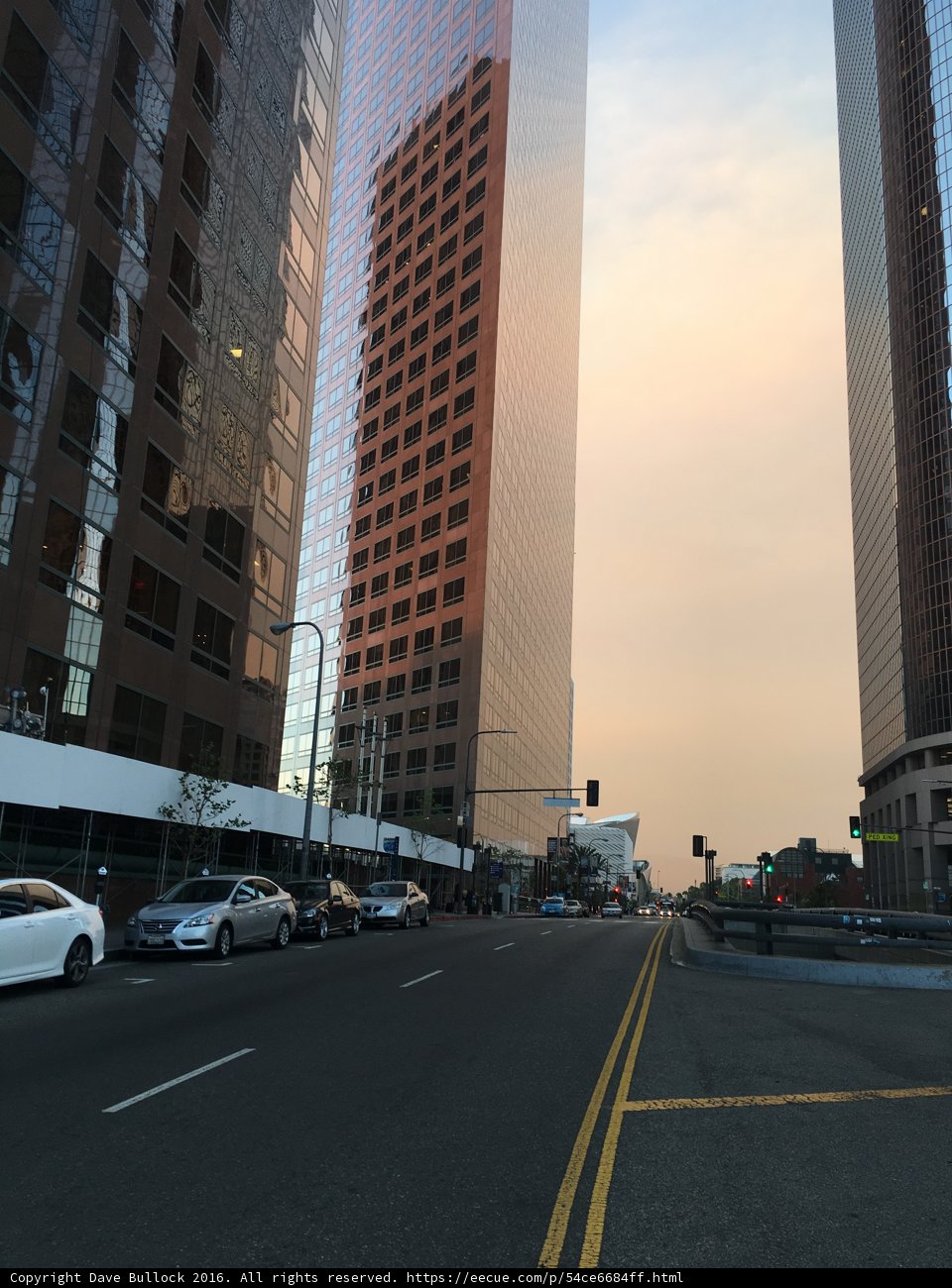 A Metropolis in Motion