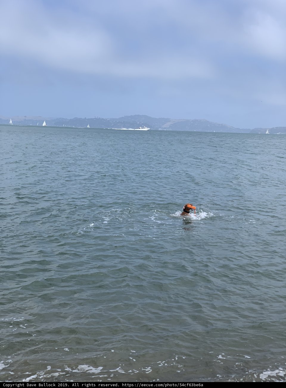 A Day of Fun in the San Francisco Bay