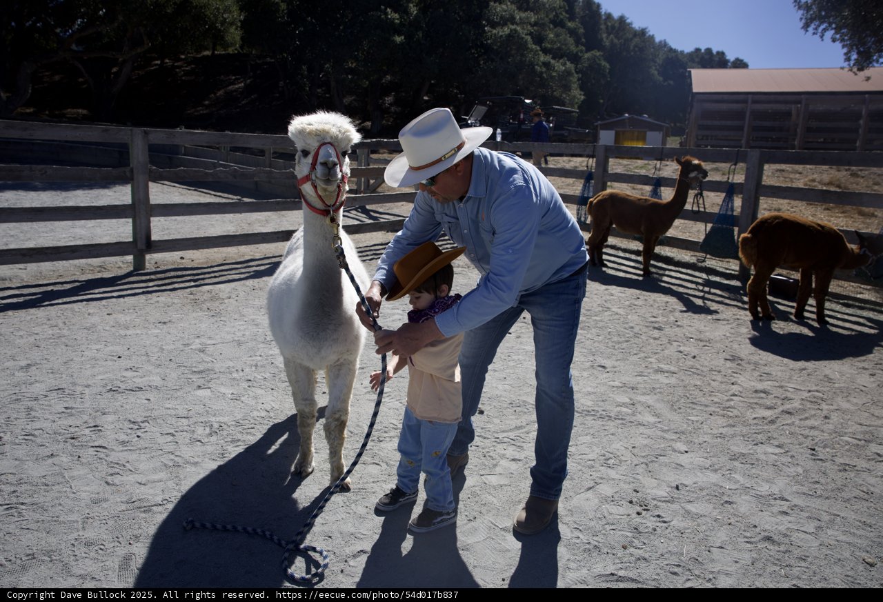 Cowboy in Training