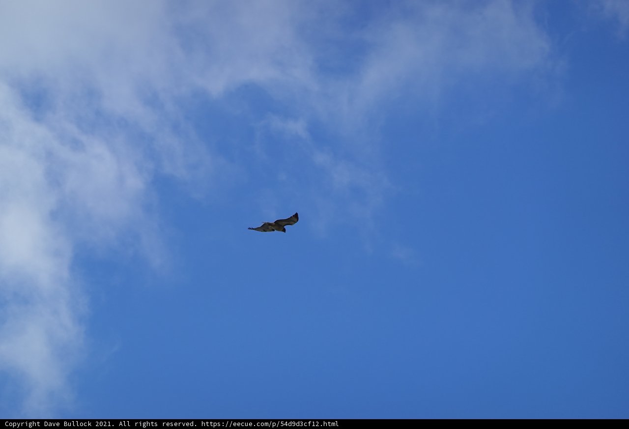 Majestic Flight