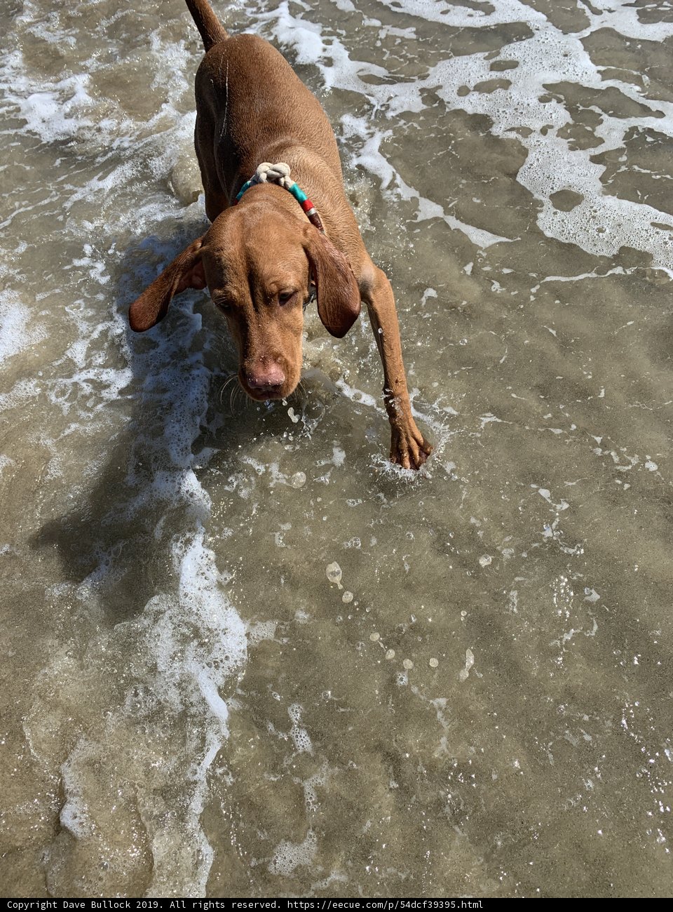 Playing in the Waves