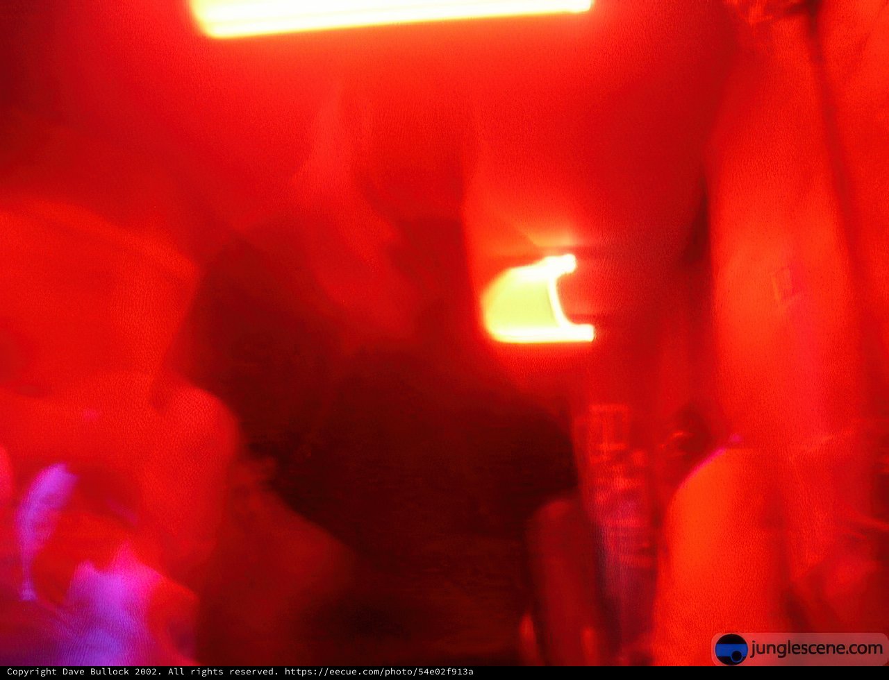 Lost in the Disco Lights