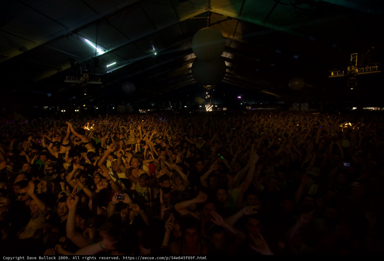 High Energy Concert Crowd