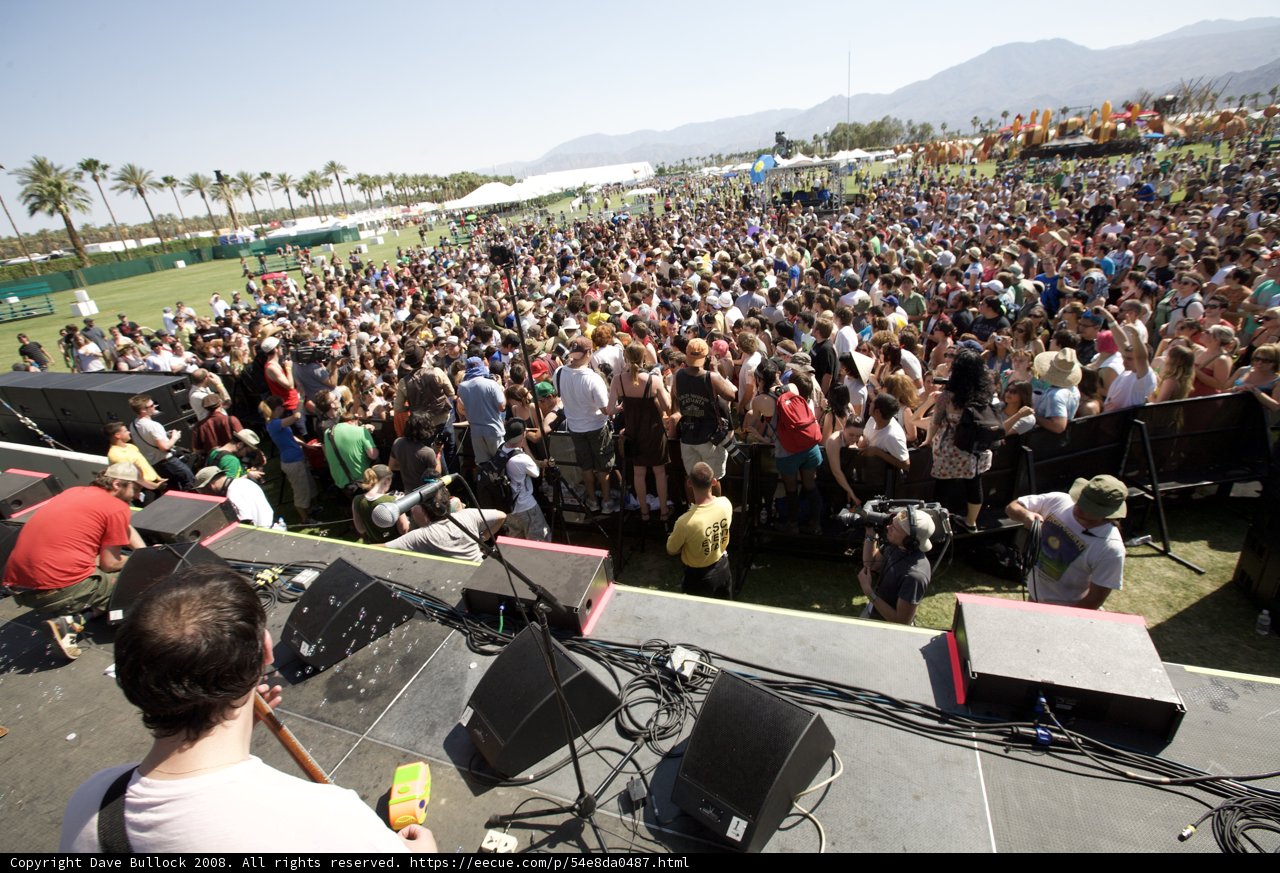 Music Festival Madness