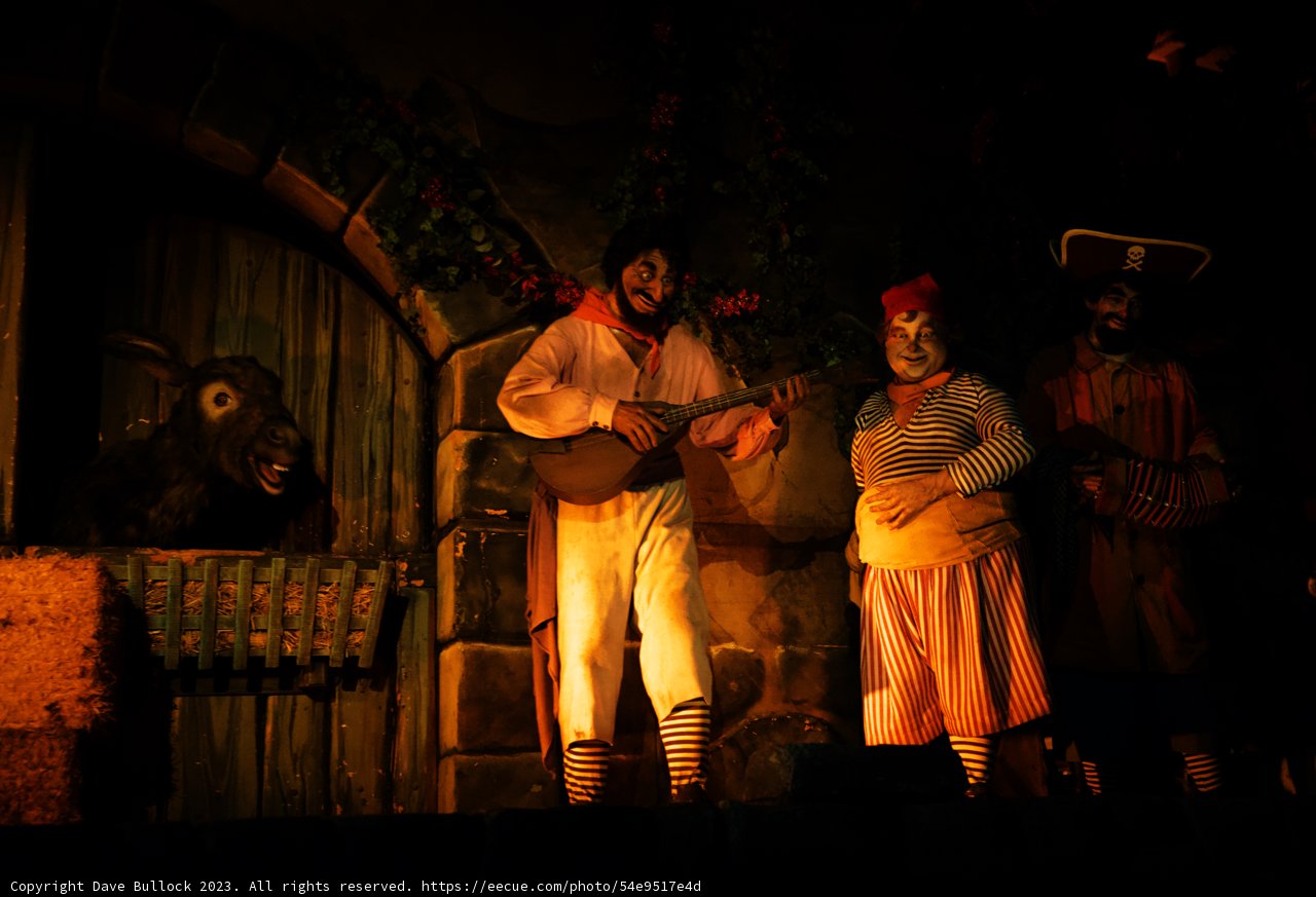 Magical Ensemble: A Disneyland Stage Spectacle