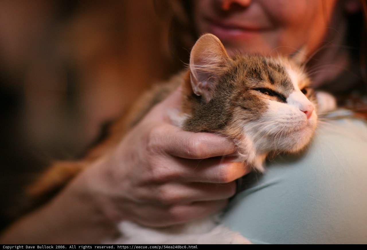 Woman and Her Feline Companion