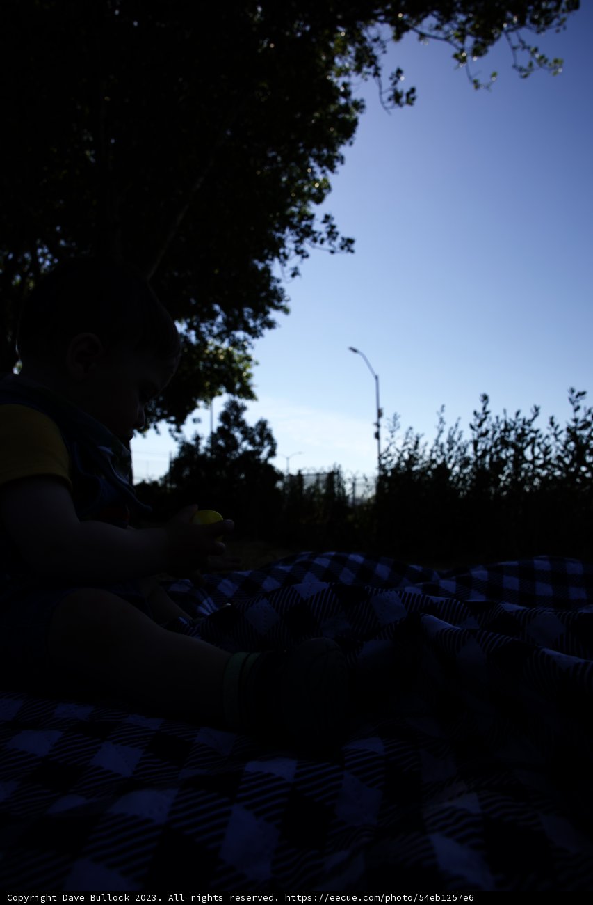 Cherished Moments at the Park