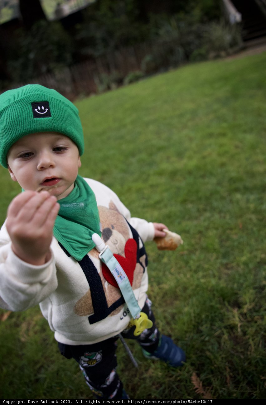 Tiny Explorer in Green