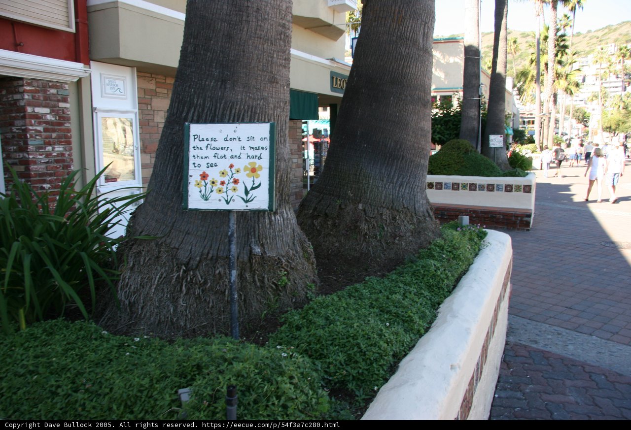 Tree Sign Along the Path