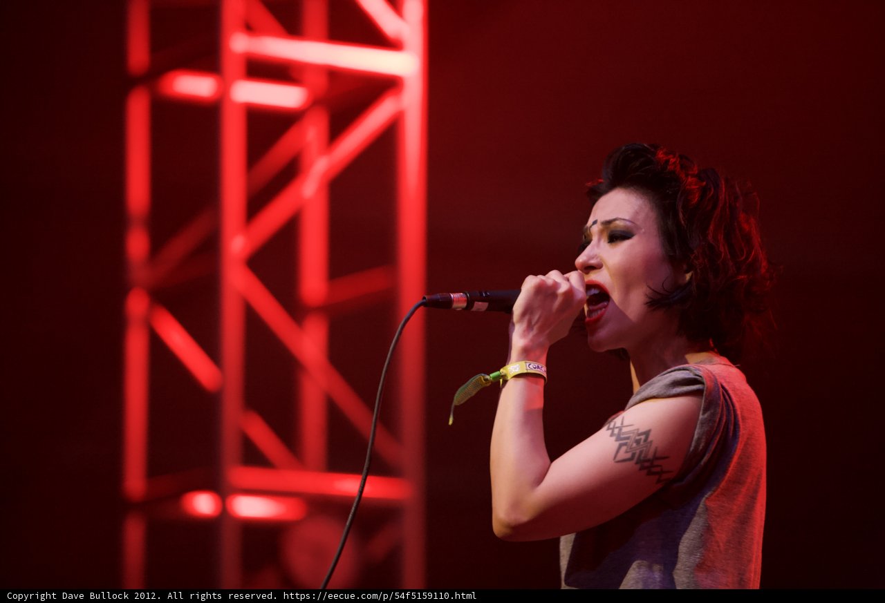 The Tattooed Songbird