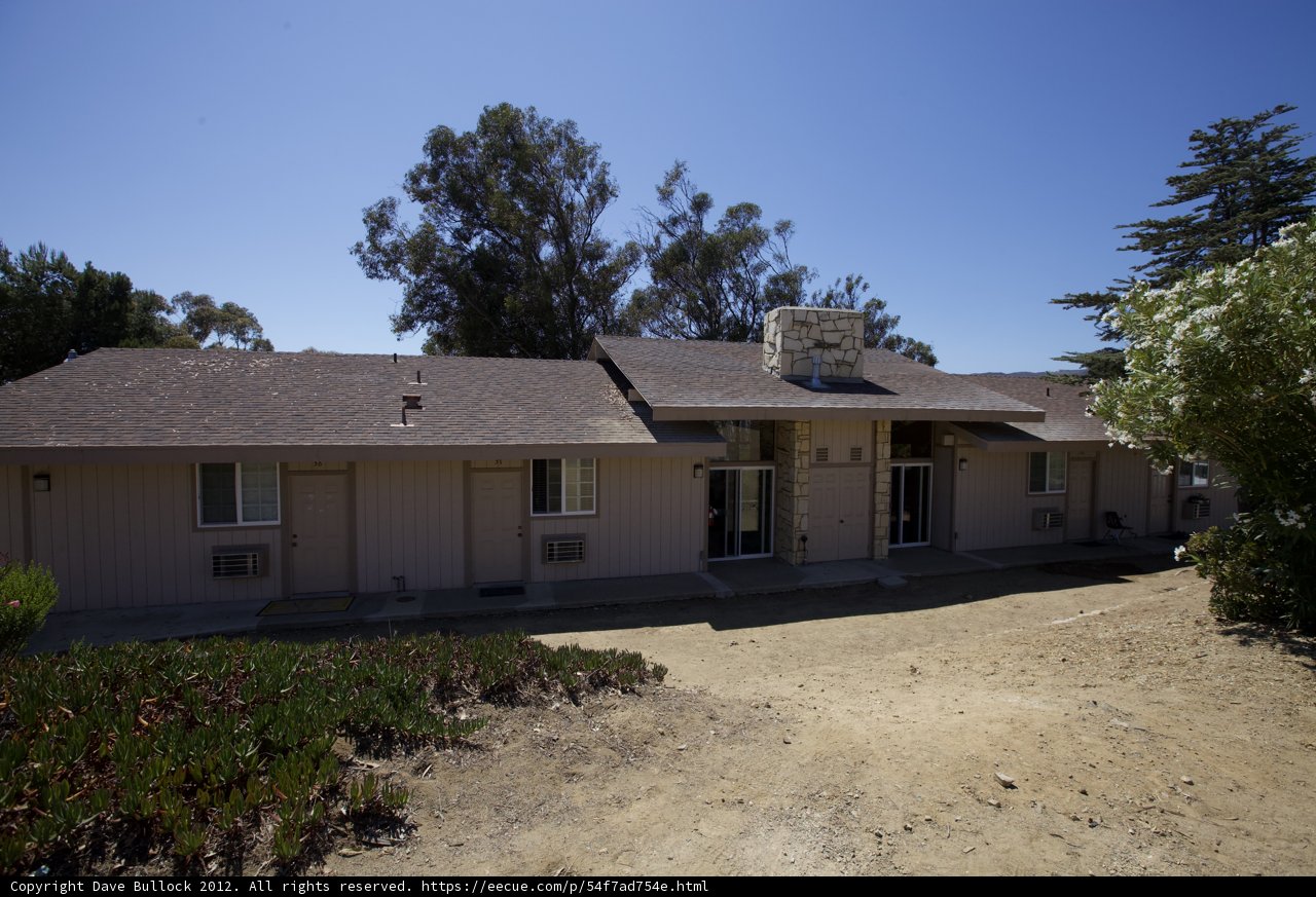 The Cottage and the Tree